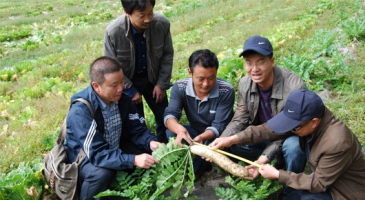 Down for the count – FAO member countries in Asia-Pacific work to improve agricultural and rural statistics to help fight hunger, malnutrition